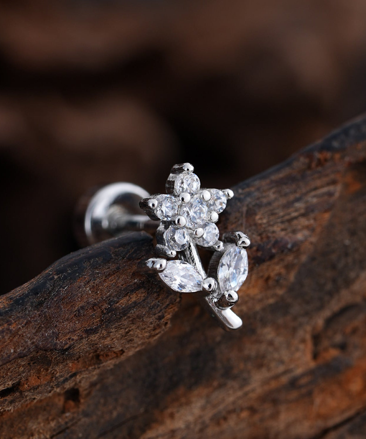 Enchanted Shine